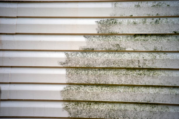 Best Siding Repair  in Hughesville, MD