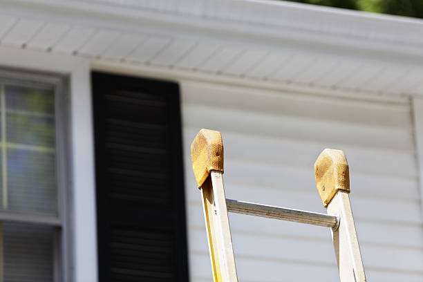Best Fascia and Soffit Installation  in Hughesville, MD